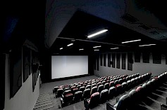 Cinema and conference hall